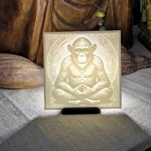 LithoZen Singe Méditation