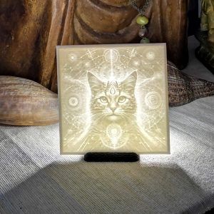 LithoZen Chat N°4