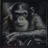 Monkey biker