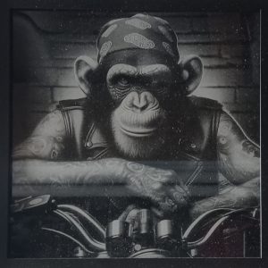 Monkey biker (Copie)
